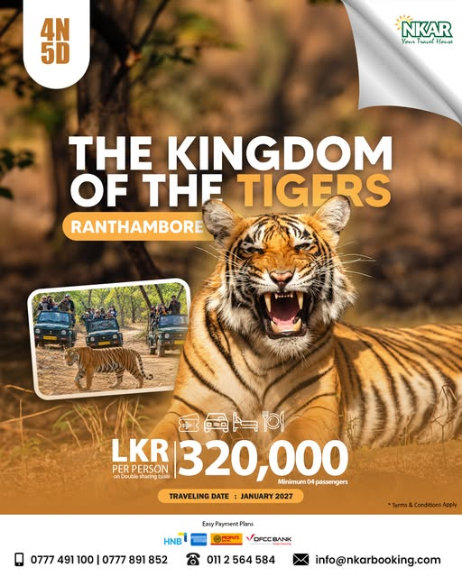 RANTHAMBORE SAFARI ADVENTURE